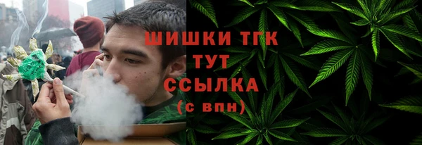 spice Новодвинск