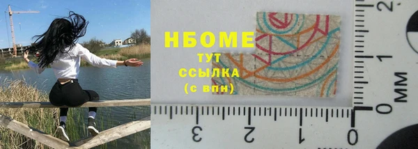 ПСИЛОЦИБИНОВЫЕ ГРИБЫ Новозыбков