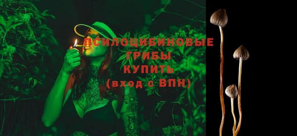 spice Новодвинск