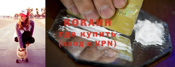 ПСИЛОЦИБИНОВЫЕ ГРИБЫ Новозыбков