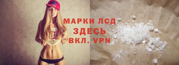 spice Новодвинск