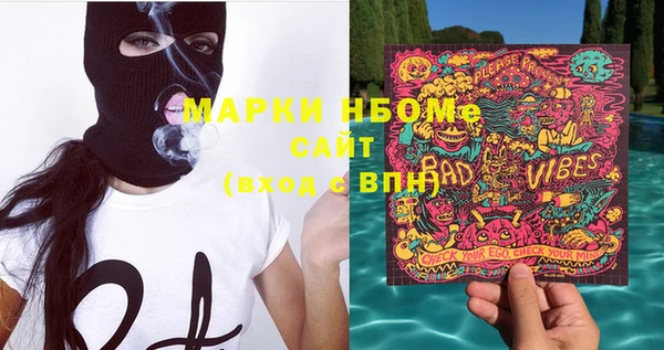 ПСИЛОЦИБИНОВЫЕ ГРИБЫ Новозыбков