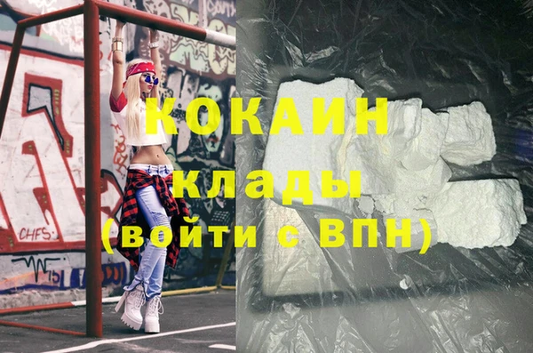 ПСИЛОЦИБИНОВЫЕ ГРИБЫ Новозыбков