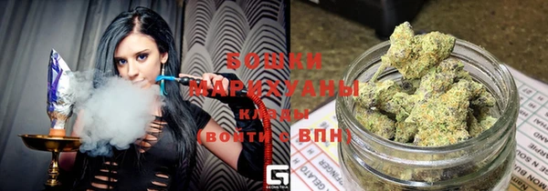 spice Новодвинск
