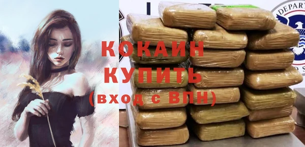ПСИЛОЦИБИНОВЫЕ ГРИБЫ Новозыбков