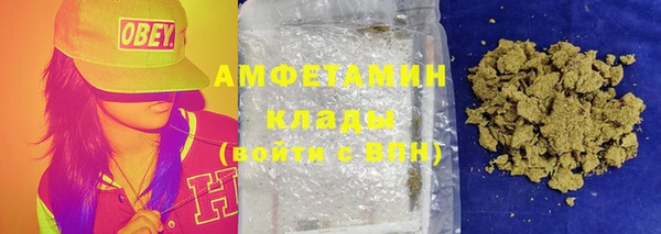 ПСИЛОЦИБИНОВЫЕ ГРИБЫ Новозыбков