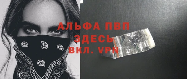 ПСИЛОЦИБИНОВЫЕ ГРИБЫ Новозыбков