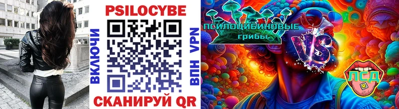 Псилоцибиновые грибы Cubensis  цена   Ряжск 